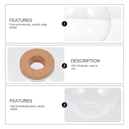 Ciieeo Micro Landscaping Glass Fish Container with Lid Small Desktop Terrarium Bottle for DIY Moss Planting and Miniature Aquatic Ecosystem