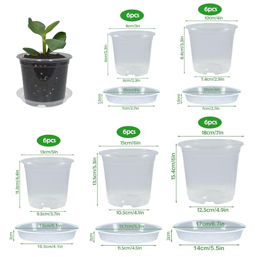 30 Pack 3/4/5/6/7 Inch Clear Nursery Pots with Drainage and 30 Pack Plant Saucers, Plant Pots for Plants Transparent Potting Containers for Plants Seeding Starter Pot (Clear, 3/4/5/6/7 Inch) - size: 3/4/5/6/7 Inch