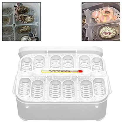 Reptile Incubation Box Reptile Incubator Egg Tray Hatching Box with 12 Grids for Turtle Gecko Lizards Mane