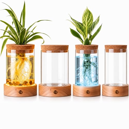 4 Pack Plant Propagation Station with 7 Colors Adjustable LED Light, Glass Plant Terrarium for Hydroponic Vases, Cuttings Flower, Home Office Decor, Planter Lovers Gifts
