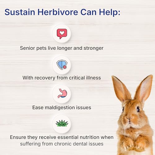 Sustain Herbivore Mint (100 g) | Nutritionally complete recovery food for herbivorous small pets and reptiles - size: 100 g