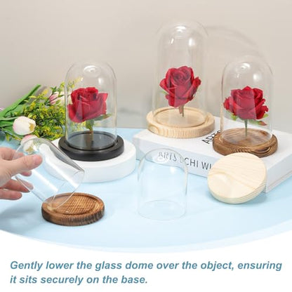 uxcell Glass Cloche Display Dome, 3.9" x 3.1" Glass Dome Display Case, Wood - size: 3.9" x 3.1"