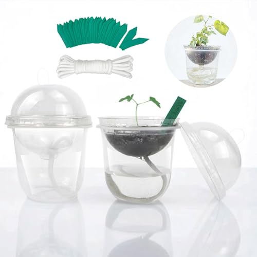 ORIMERC 30 Set Nursery Pots with Humidity Dome, Clear Nursery Pots with Drainage, Self Watering Small Plant Pots, Seedling Pots for Plants, Seed Starter Pots for Planting Vegetables Fruit Flower - size: 30 Pack