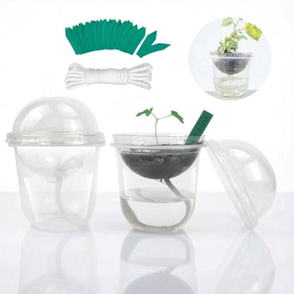 ORIMERC 30 Set Nursery Pots with Humidity Dome, Clear Nursery Pots with Drainage, Self Watering Small Plant Pots, Seedling Pots for Plants, Seed Starter Pots for Planting Vegetables Fruit Flower - size: 30 Pack