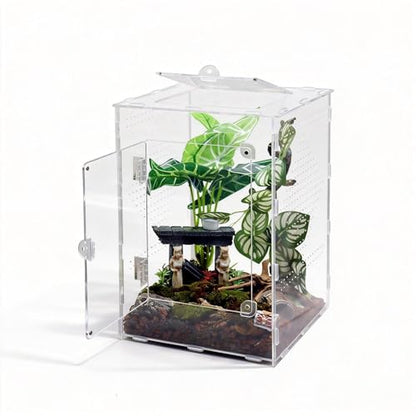 Large Jumping Spider Enclosure, Acrylic Ventilated Terrarium with Magnetic Front and Top Doors, 8.5x8.5x12 Inch, Transparent, Lockable (Large Size) - size: Large Size