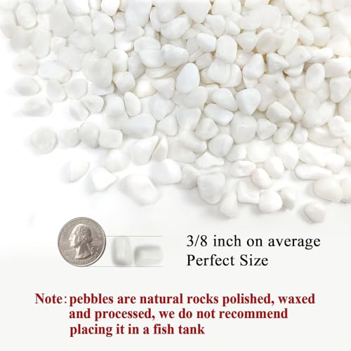 FANTIAN White Pebbles for Indoor Plants, 3/8 Inch Decorative White Stones. Polished River Rocks for Potted Plants Vase Cactus Bird Bath and Outdoor Garden Landscaping - size: 1 pound, style: White