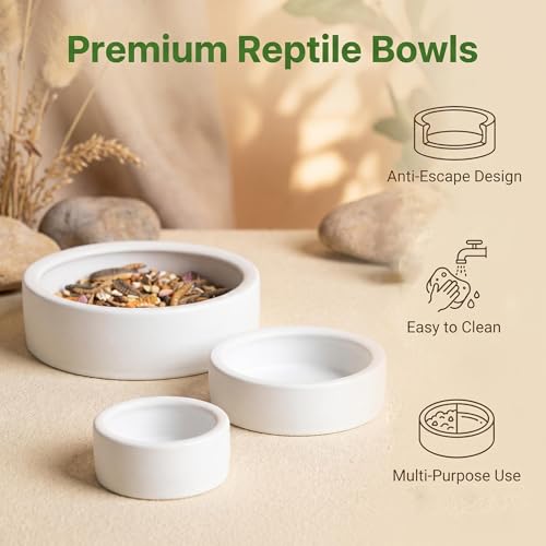 3 Pack Escape Proof Reptile Feeding Dish, Reptile Food and Water Bowl, Ceramic Worm Dish for Bearded Dragon, Lizard, Gecko
