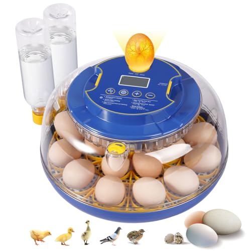 18 Egg Incubators for Hatching Eggs, Chicken Egg Incubator with Automatic Egg Turning and Temperature Humidity Control, 360° Clear View Lid or Home, Farm, Classroom, Hatching Chicken, Duck,Quail,Goose - size: 18 Egg Incubators
