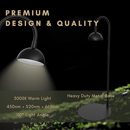 Desktop Grow Lamp Terrarium Light Plant Light on Table with Flexible Gooseneck Lamp for Terrarium Kitchen Vetegable Succulent Lamp with Auto Timer 3/6/12Hrs, 4 Brightness Levels (Black) - color: Black