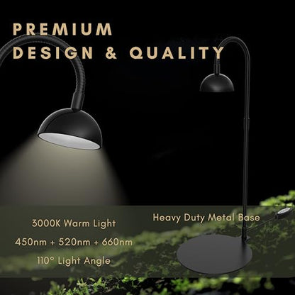 Desktop Grow Lamp Terrarium Light Plant Light on Table with Flexible Gooseneck Lamp for Terrarium Kitchen Vetegable Succulent Lamp with Auto Timer 3/6/12Hrs, 4 Brightness Levels (Black) - color: Black