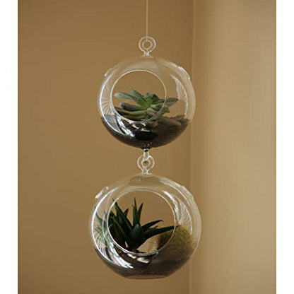 WGV Hanging Terrarium Globe, Width 4", Height 6", Double Hook, DIY Air Succulent Planter, Clear Glass Vase Orb, Candle Holder for Windowsill Outdoor Garden Decor, 1 Piece - size: 4" Double Hook