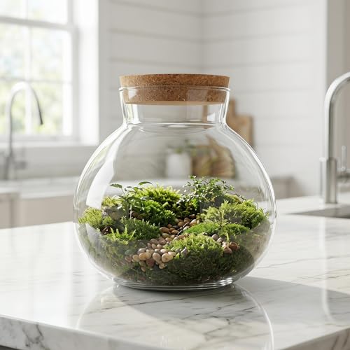 Glass Terrarium Bottle with Cork Lid: Round Borosilicate Jar for DIY Microlandscape - Clear Plant Display Container Moss Holder Tabletop Storage Canister