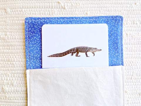 Reptiles Vocabulary Cards