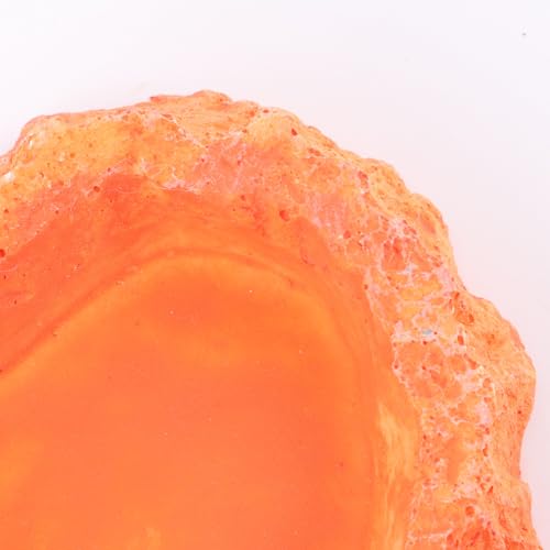 INOOMP Reptile Feeding Bowl and Water Dish Anti-Skid Orange Food Container for Lizard and Gecko Terrarium Supplies