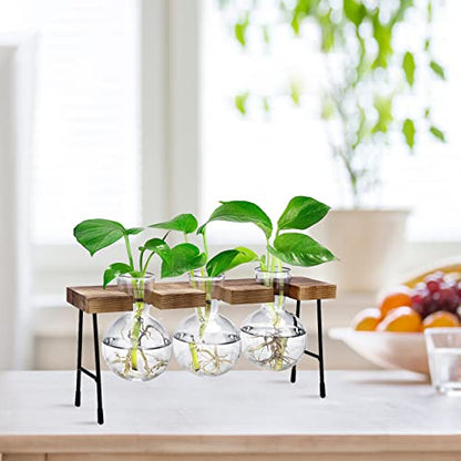 Propagation Station, 3 Pcs Bulb Vase Glass Plant Propagation Station Modern Desktop Glass Planter Hydroponic Table Top Planter Glass Flower Vases for Home Garden Office Coffee Table Décor