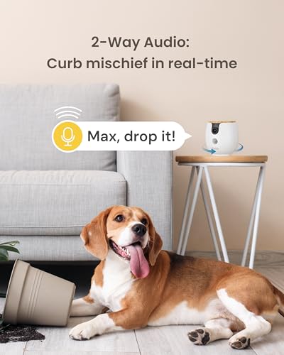 Furbo Mini 360° Pet Camera [No Monthly Fee] | Clear 2K QHD Video, 360° Rotating View, Barking/Meowing Alerts, 2-Way Audio, Color Night Vision, Pet Monitoring, No AI Alerts - style: Mini 360° Camera