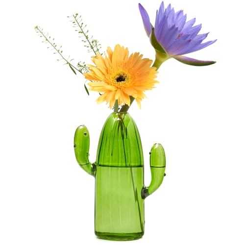 XXXFLOWER Cactus Plant Propagation Station 1 Cactus Vase Terrarium Jars | Desk Plant Cuttings Plant Holders Unique Glass Flower Vase for Hydroponics Plants for Plant Lovers Home Garden Decor - size: 1PC Cactus Vase