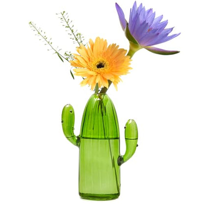 XXXFLOWER Cactus Plant Propagation Station 1 Cactus Vase Terrarium Jars | Desk Plant Cuttings Plant Holders Unique Glass Flower Vase for Hydroponics Plants for Plant Lovers Home Garden Decor - size: 1PC Cactus Vase