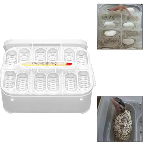 Reptile Incubation Box Reptile Incubator Egg Tray Hatching Box with 12 Grids for Turtle Gecko Lizards Mane, Reptile Hatching Box, standard, style 1
