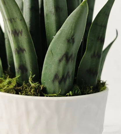 Dayuleaf 3 ft Artificial Sansevieria Plant with White Decorative Pot, Realistic Faux Snake Plant, Green with Dark Green Horizontal Stripes
