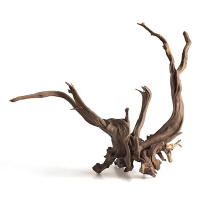 emours Natural Aquarium Driftwood, Upright Root Style Wood for Fish Tank Decor, Unique Driftwood for Aquascape, Terrarium and Reptile Display, 1 Piece (8-12" (20-30 cm)) - size: 8-12" (20-30 cm)