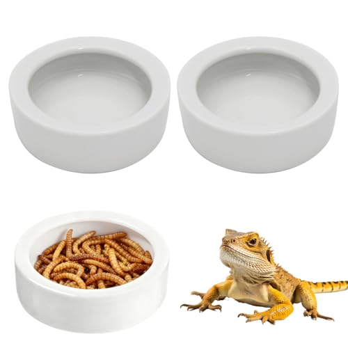 Escape-Proof Reptile Food Dish Bowl, Ceramic Reptile Feeding Dish & Small Animal Bowl for Lizard, Leopard Gecko, Hermit Crab, Hamster, Anti Escape Live Food & Water Dish (3x1in) 2PCS