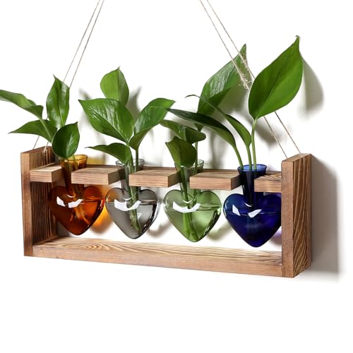 Plant Propagation Stations Heart Plant Terrarium Kit | Gift for Women Plant Lover Glass Vases - color: Color01