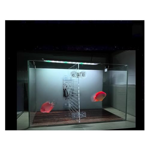 Aquarium Fish Tank Divider, Fish Tank Transparent Isolation Board Acrylic Separation Partition Network Partition Prevent Fish, Turtle Fight Attack Each Clear, - size: 30 X30cm