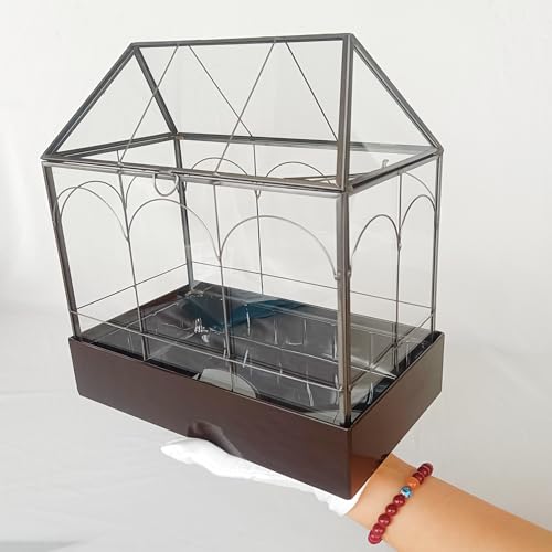 Glass Terrarium with Metal Tray, Glass Greenhouse Terrarium Kit for Succulents, Cacti, Snails, Spiders, and Miniature Reptiles, Black (Large-9.45" L x 5.7" W x 11.8" H) - size: Large-9.45"L x 5.7"W x 11.8"H