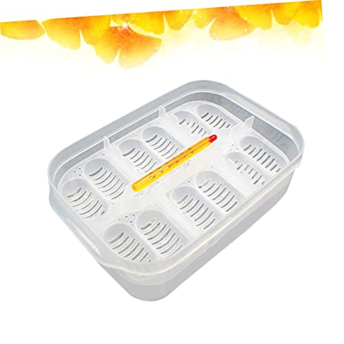 BESPORTBLE Hatchery Breeder Box for Reptiles Snake Lizard Incubation Case Thermometer Egg Capacity Random Color