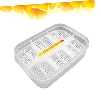 BESPORTBLE Hatchery Breeder Box for Reptiles Snake Lizard Incubation Case Thermometer Egg Capacity Random Color
