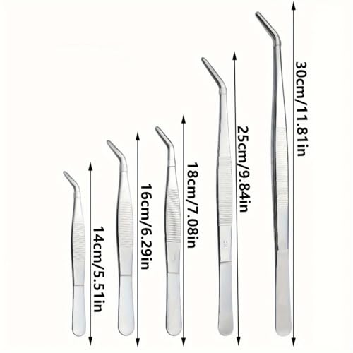 Stainless Steel Reptile Feeding Tongs Tweezers for Aquarium, Terrarium & Crafts Bearded Dragon Snake Tank Accessories, Planted Tank Tools Feeder for Lizards-5.51 Inches Curved