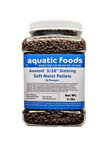 3/16" Axolotl Food Soft Moist Sinking Pellets... 2-lb Med Jar | For Adult Axolotl, Also for Shrimp, Snails, Crabs, Crayfish, Bottom Tropical Fish - size: 2 Pound (Pack of 1)