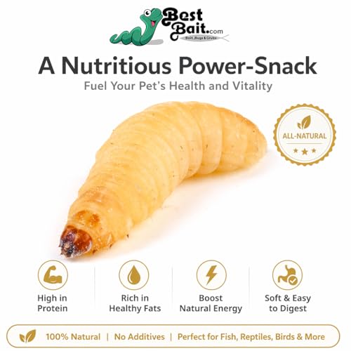 100 Count Premium Live Waxworms for Reptiles, Birds, Amphibians & Fishing Bait - High-Protein, Calcium-Rich Soft-Bodied Larvae - Ideal for Bearded Dragons, Geckos, Chickens & Trout