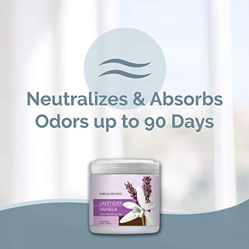 SMELLS BEGONE 15oz Gel Odor Eliminator - Absorb & Remove Tough Odors in Pet Areas, Bathrooms, Basements, Garage, Cars, RVs & Boats - Eliminate Odors Quickly (1-Pack, Lavender Vanilla) - size: 15 Ounce (Pack of 1)