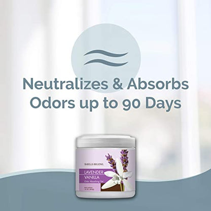 SMELLS BEGONE 15oz Gel Odor Eliminator - Absorb & Remove Tough Odors in Pet Areas, Bathrooms, Basements, Garage, Cars, RVs & Boats - Eliminate Odors Quickly (1-Pack, Lavender Vanilla) - size: 15 Ounce (Pack of 1)