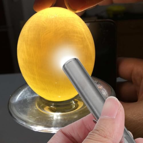 VOSAREA Led Egg Candler Portable Incubator Egg Tester Light for Chicken Duck Bird Eggs Embryo Development Monitoring Cold Light Inspection Tool