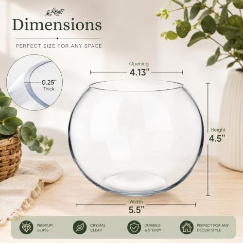 Glass Bubble Bowl, 4.5" Height x 6" Width Glass Fish Bowl Vase, Bubble Bowl vase for Terrarium, Flower vase Centerpiece - size: Bubble Bowl : 4.5" Height x 5.9" Width