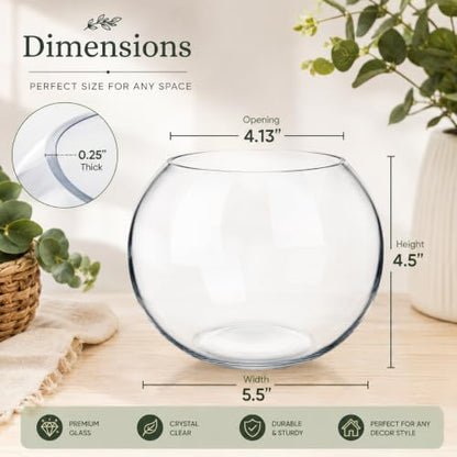 Glass Bubble Bowl, 4.5" Height x 6" Width Glass Fish Bowl Vase, Bubble Bowl vase for Terrarium, Flower vase Centerpiece - size: Bubble Bowl : 4.5" Height x 5.9" Width