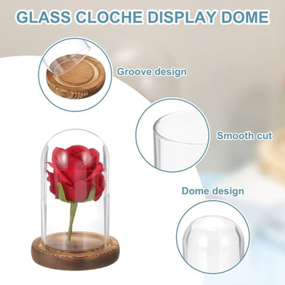 uxcell Glass Cloche Display Dome, 4.7" x 2.7" Glass Dome Display Case, Wood - size: 4.7" x 2.7"