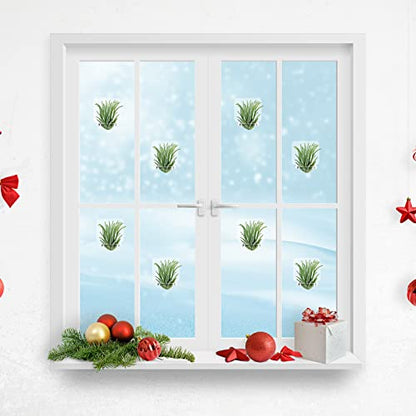 Jetec 12 Pcs Acrylic Air Plants Holder Hanger Air Plant Live Holders with Mounting Tape for Hanging Plants Glass Display Home Office Decoration