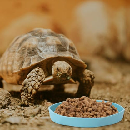 4 Pack Small Reptile Food Dish Bowl, Plastic Worm Water Dish Plate | Reptile Food Bowls for Lizard Gecko Bearded Dragon Chameleon 4" W x 4" D x 0.5" H, Blue and Yellow - color: Blue and Yellow