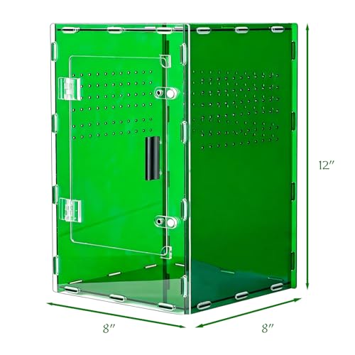 8x8x12 Deep Green Acrylic Terrarium Vertical for Spider Reptile | Vertical deep green acrylic terrarium 8x8x12, waterproof sealed body, secure anti-escape, suits Reptile spider small lizard - color: DeepGreen