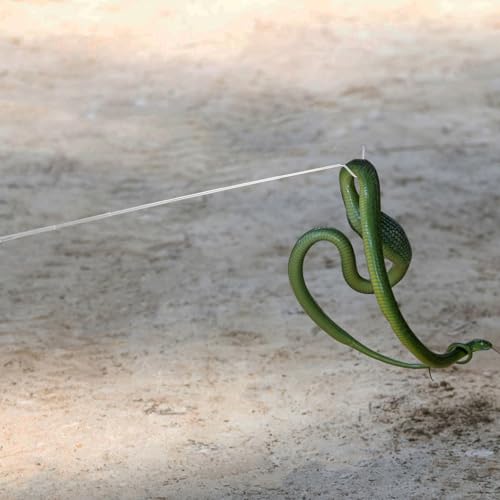 Homoyoyo Professional Stainless Steel Retractable Snake Hook with Extendable Handle for Reptile Handling and Snake Catching Tool in White