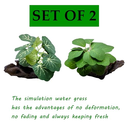 M2cbridge Artificial Fish Tank Plants Silk Aquarium Plastic Plant Aquatic Water Grass Foreground Decor(2PCS Small Green) - color: 2pcs Small Green