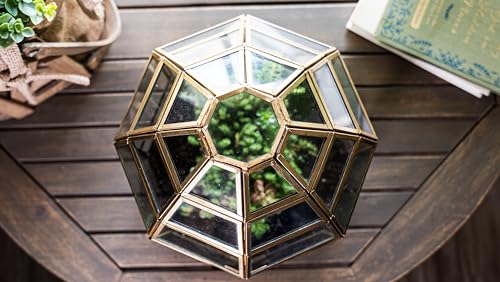 Urban Born Handmade Birdcage Large Glass Terrarium — 10" x 9" x 9" (Brass)