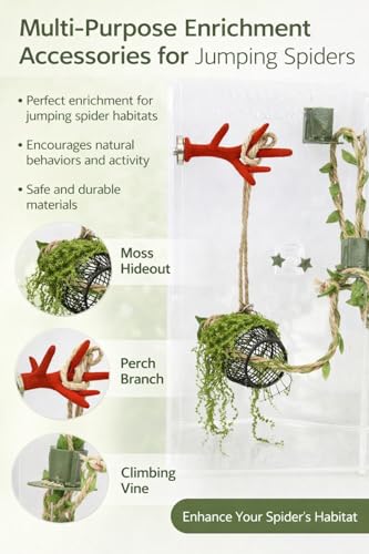 5Pcs Jumping Spider Enclosure Accessories with Hammock, Magnetic Climbing Rope, Resting Ledge Platforms and Feeding Dish Bowl & Hook for Terrarium Habitat (5Pcs Combination Kit) - color: 5Pcs Combination Kit