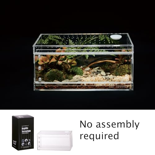Acrylic Terrarium for Reptiles & Spiders – Small/Medium/Large Leak-Proof Enclosure (Horizontal/Vertical) | Ideal for Tarantulas, Jumping Spiders, Frogs & Geckos(Small, Horizontal) - size: Small