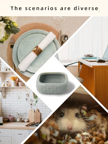 2 Pcs Ceramic Reptile Food Bowl, Mini Reptile Feeder, Anti Escape Feeder for Lizard, Anoles, Chameleon, Bearded Dragon, Gecko, Square (Farmhouse Grey) - color: Farmhouse Grey