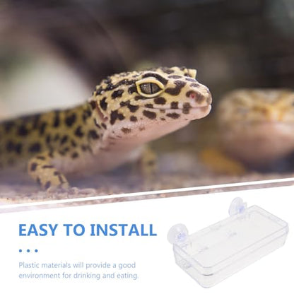 Beaupretty Reptile Feeder Bowl with Suction Cup Acrylic Anti-Escape Feeding Dish for Lizards Geckos and Small Reptiles Terrarium Water and Food Container